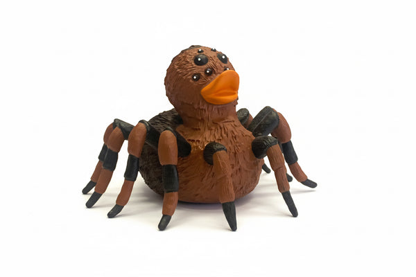 Tarentule duck