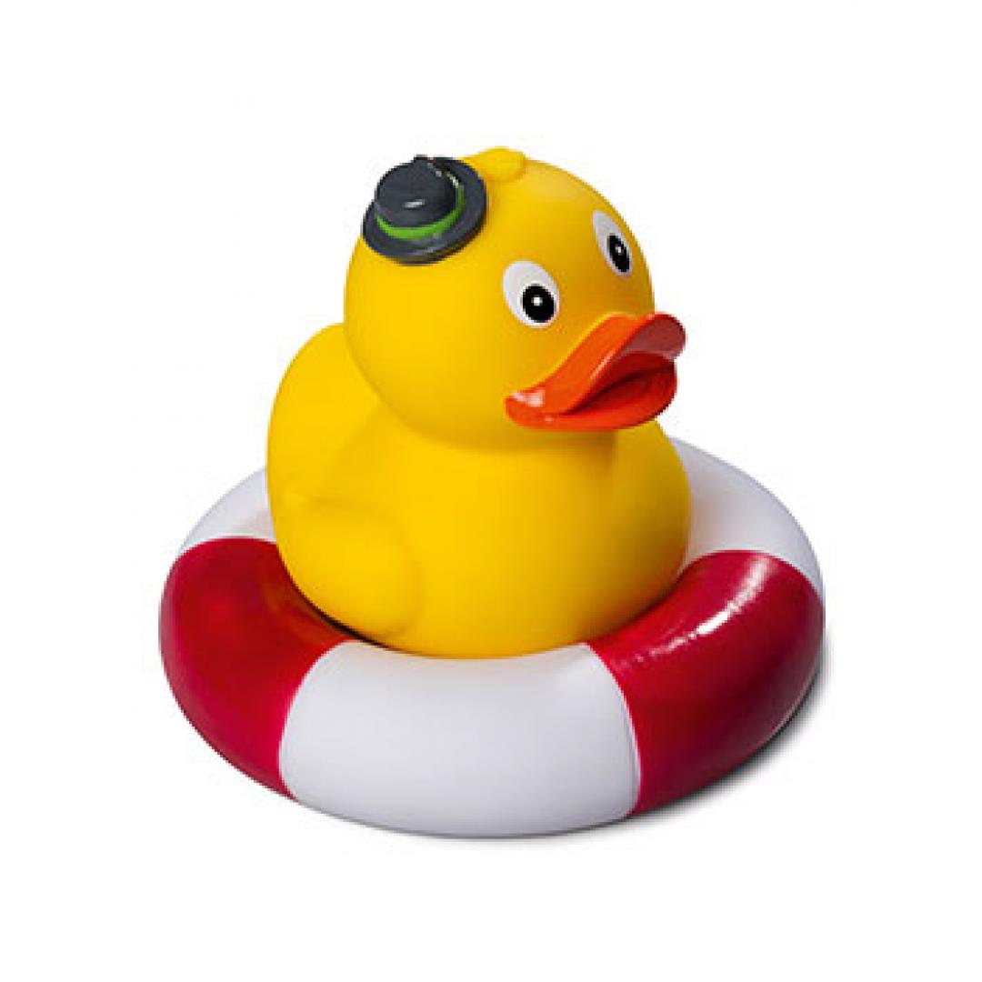 Bavarian Duck Standing