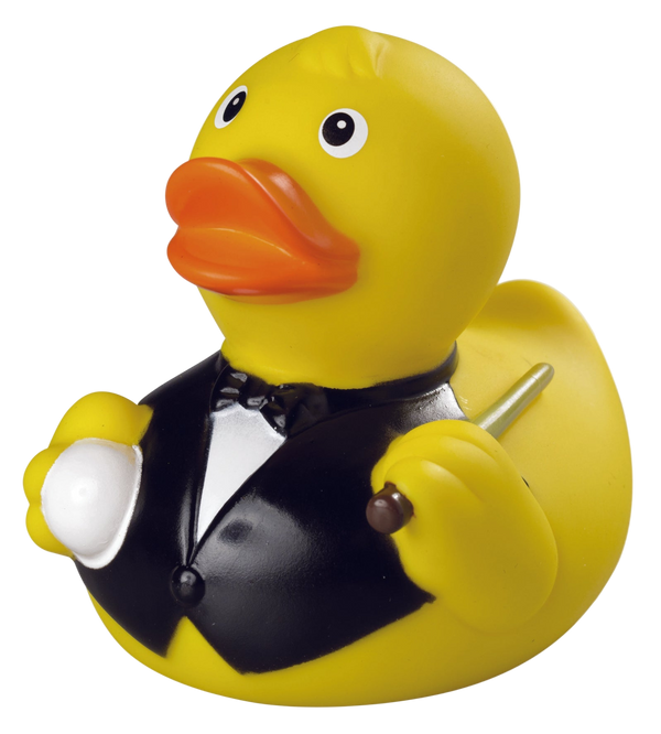 Canard Billard