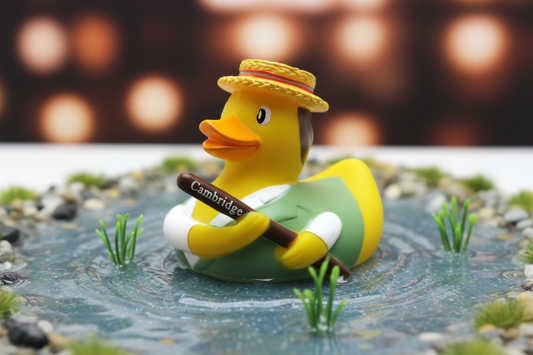 Duck Cambridge