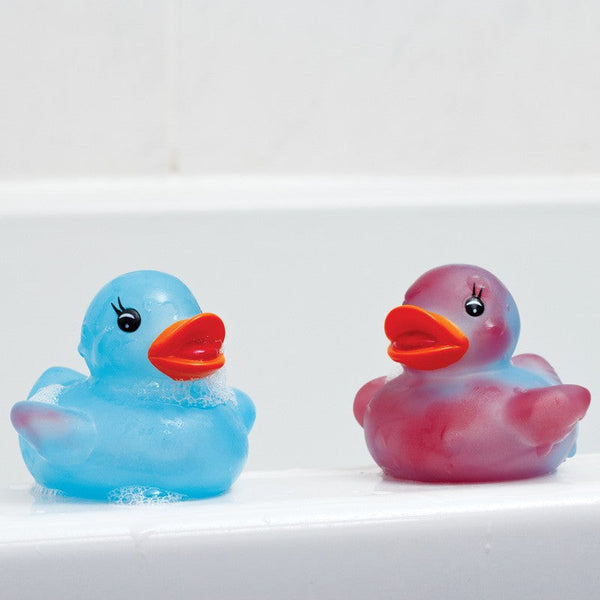 Little Thermosensitive Duck