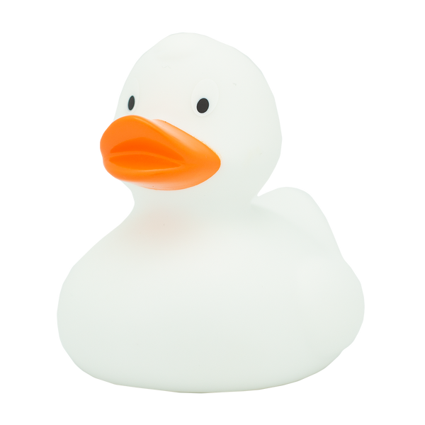 Classic white duck