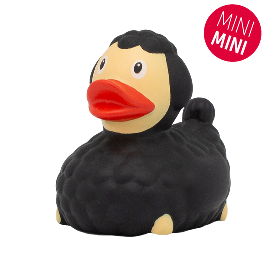 Mini black sheep duck