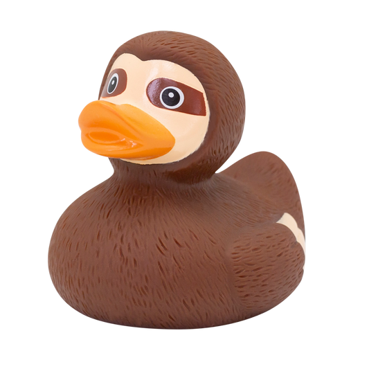 Canard Paresseux