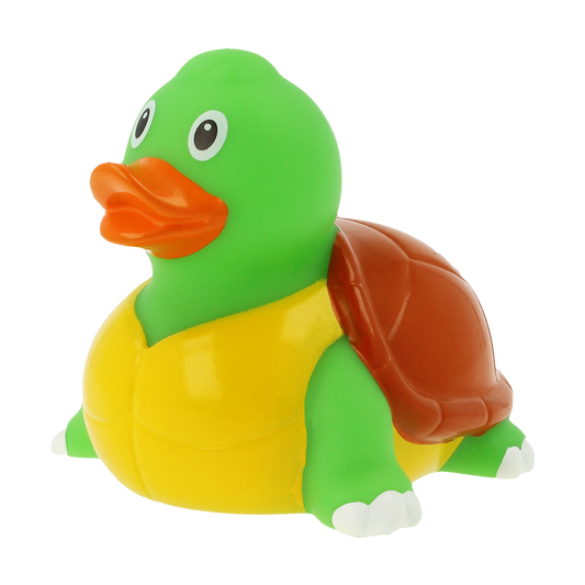 Canard Tortue