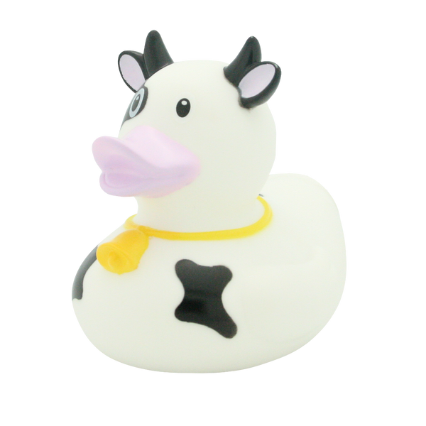 Dairy cow