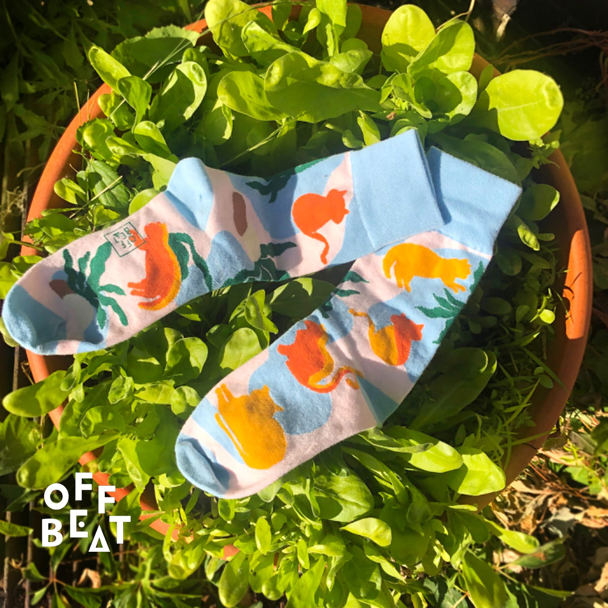 Chaussettes Chats au Soleil