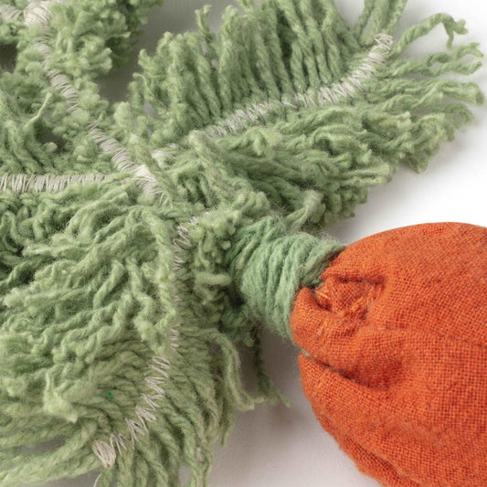 DIY Cathy the Carrot