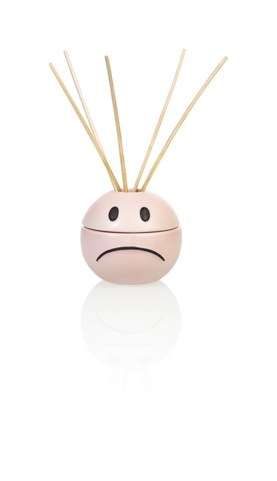 Diffuseur de parfum Humeur Rose Bitten – Objet déco original