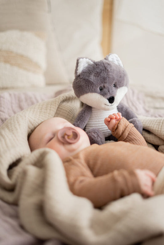 Robin White Noise Soft Plush