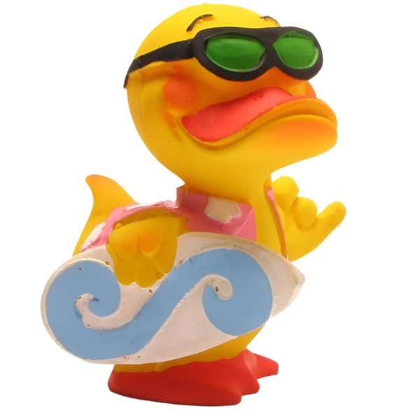 canard surfeur lanco