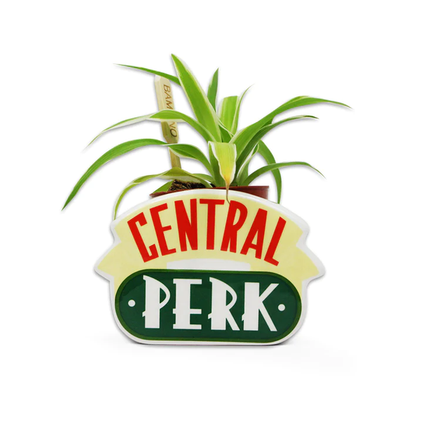 Pot Pour Plante Friends - Central Perk
