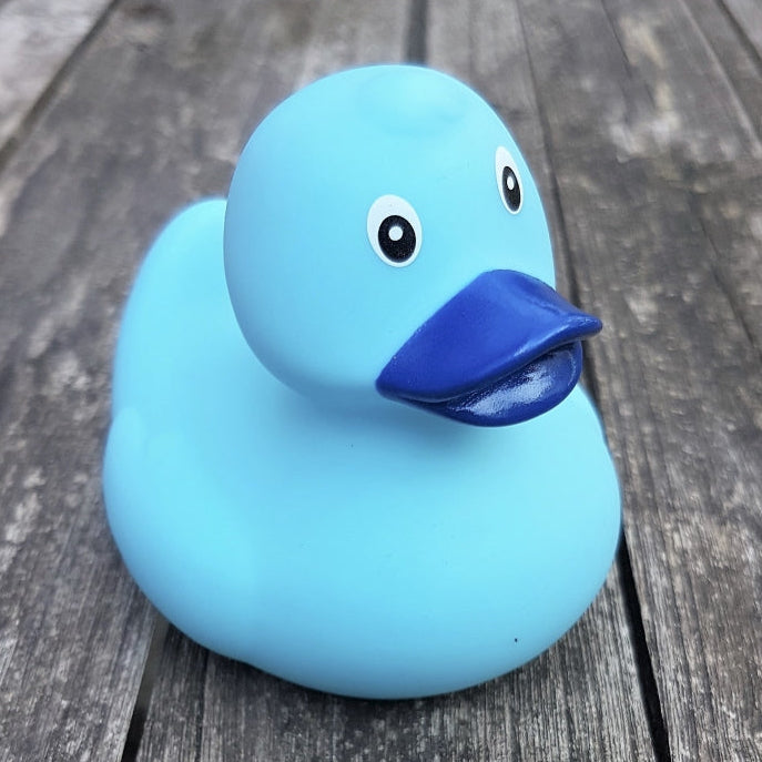 Original blue duck