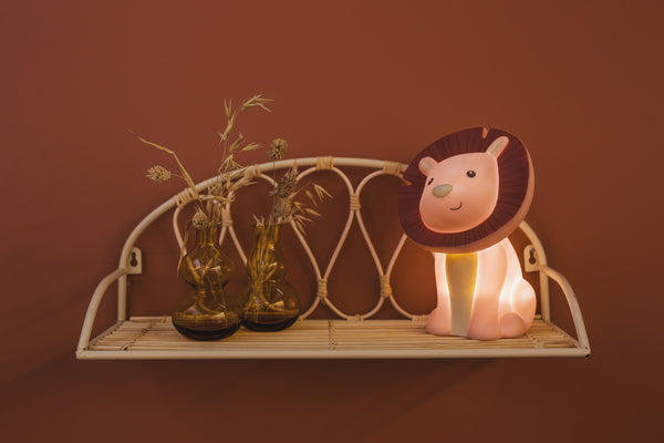 Rechargeable hakuna night light