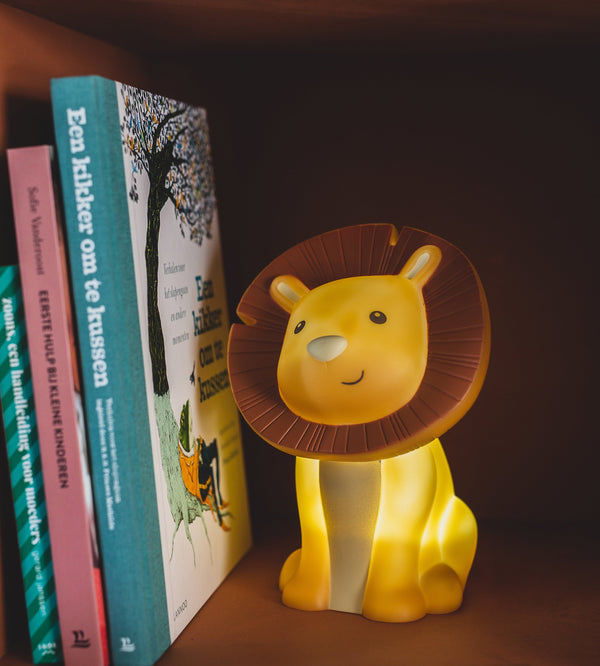 Rechargeable hakuna night light