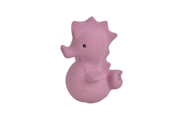 My first sea hippocampus animal