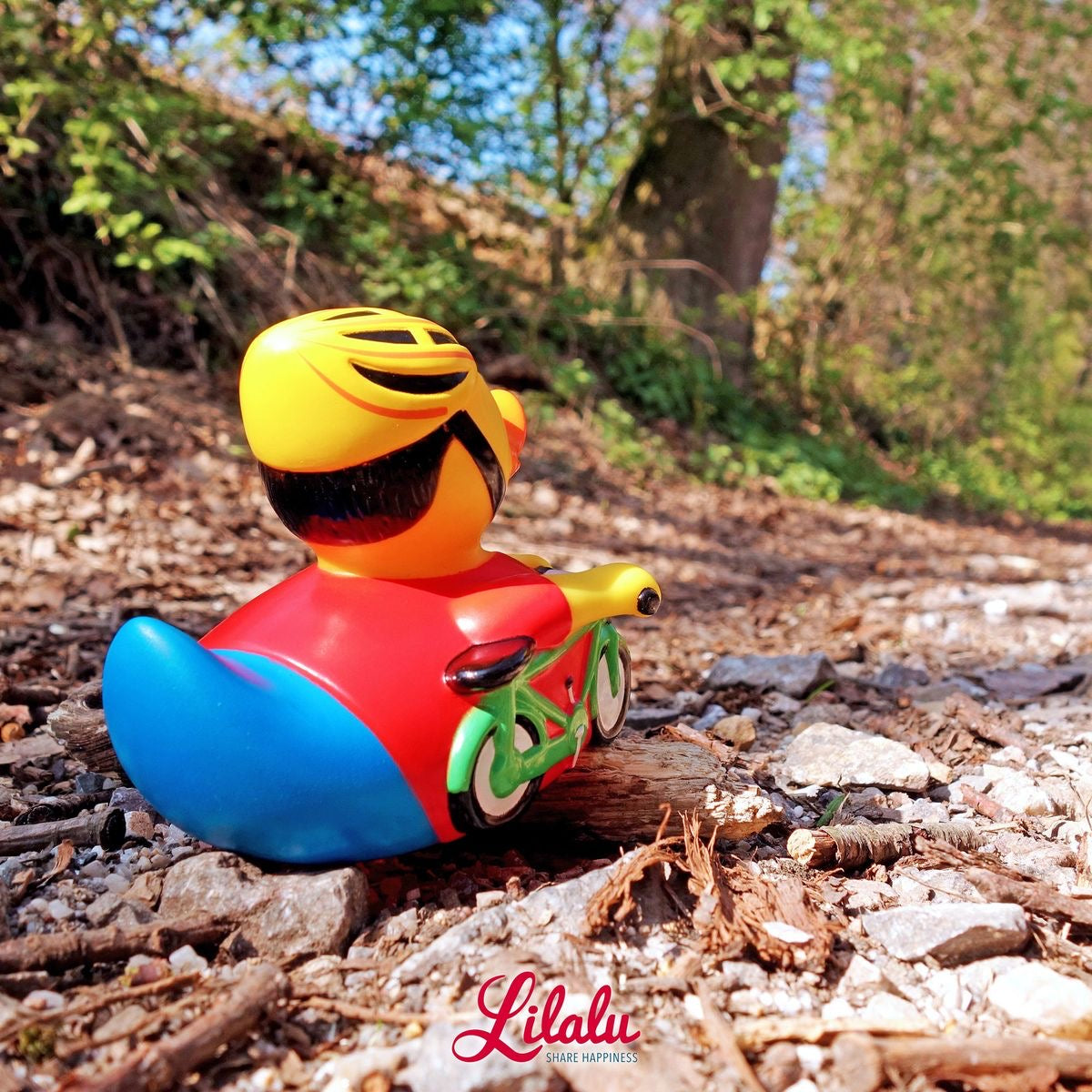 Cycling duck