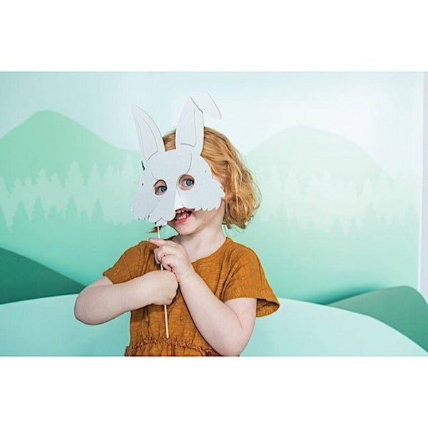 Masque de Déguisement