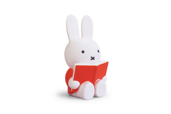 Miffy Rabbit Money Box Book