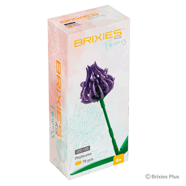 BRIXIES Plus Flowers Phyteuma