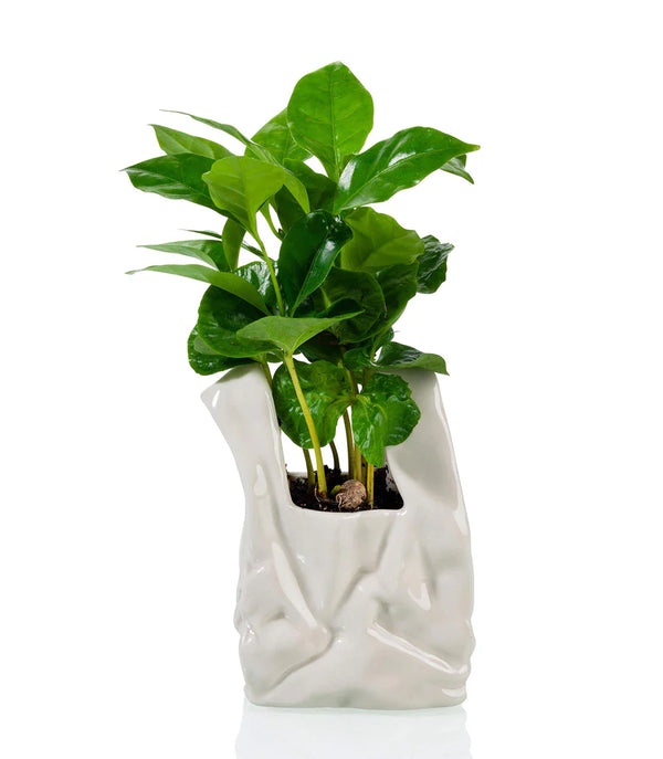 Pot de fleur Je ne suis pas un sac en plastique ! Bitten – Cache-pot original