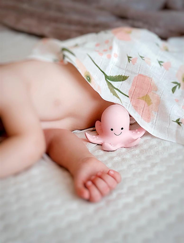 My first sailor animal octopus