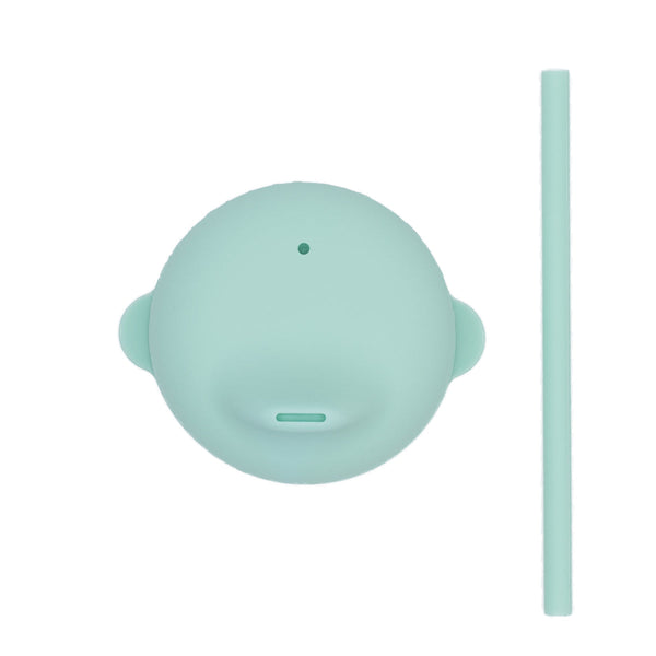Minty Green lid and mini straw