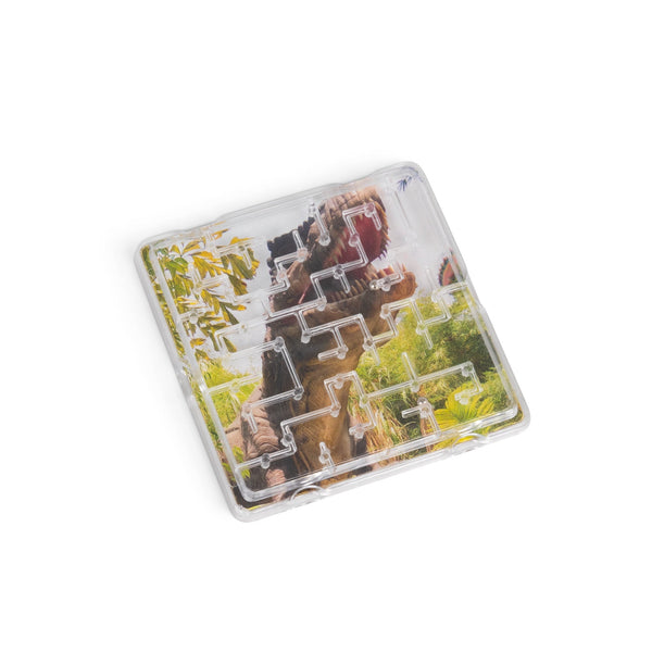 6 MINI DINOSAUR MAZES
