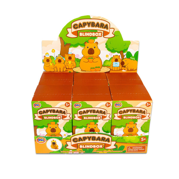 BLIND BOX CAPYBARA