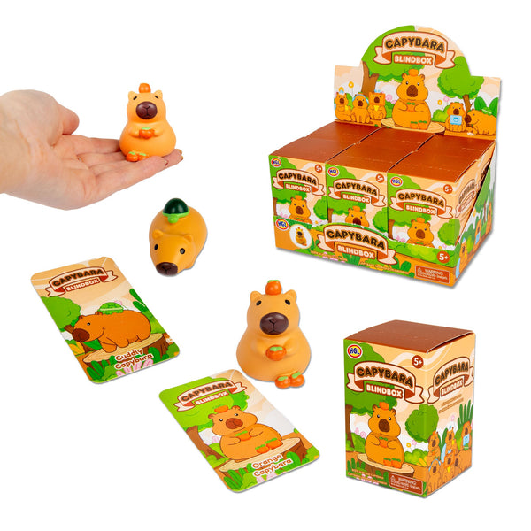 BLIND BOX CAPYBARA