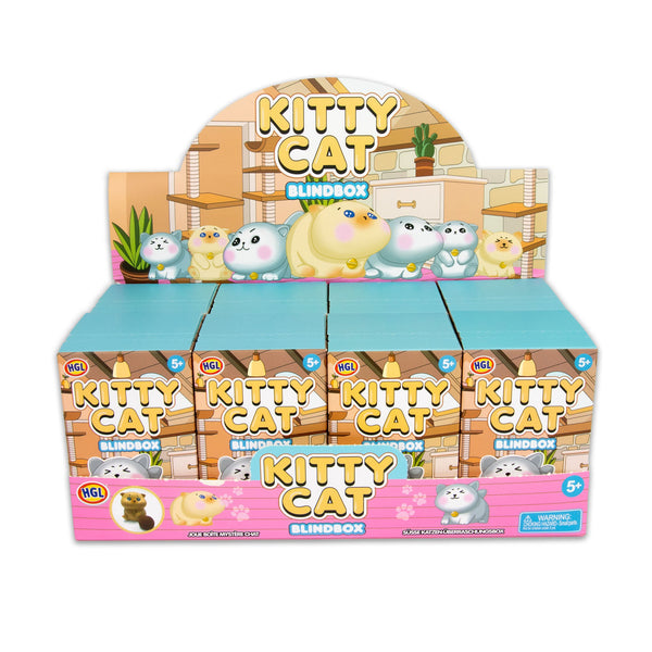 BLIND BOX KITTY CAT