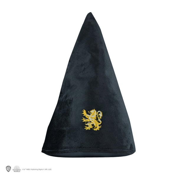 *Gryffindor Student Hat