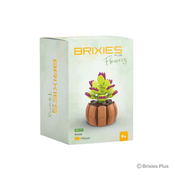 BRIXIES Plus Mini Flower "Venus"