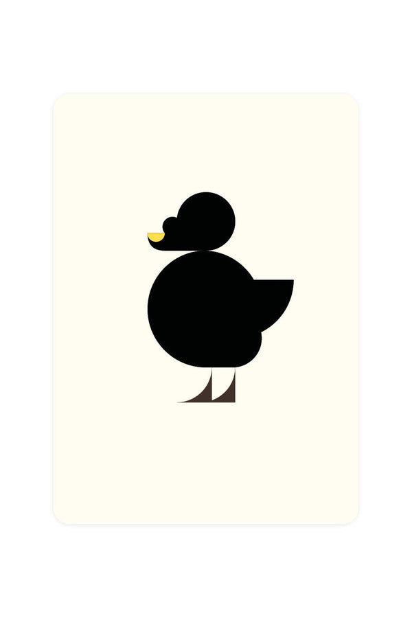 Black Sea Duck Postcard