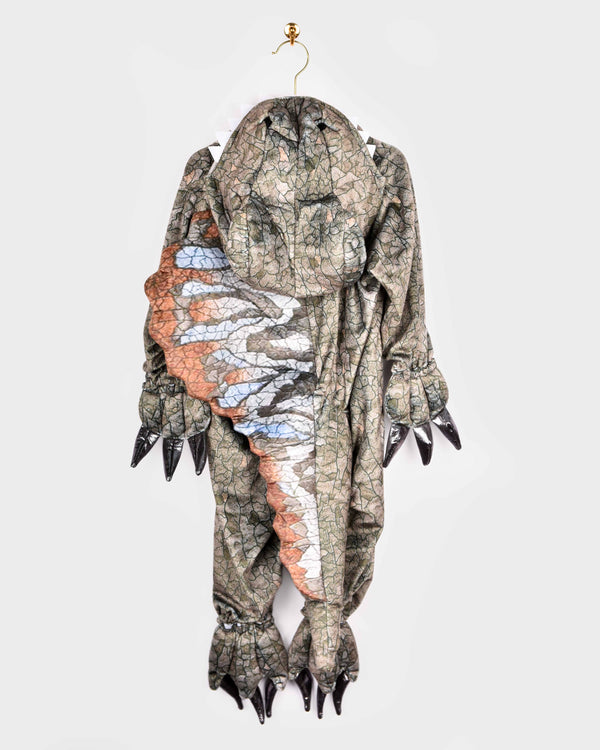 Dinosaur Spinosaurus Costume 98-104 cm 2-4 years