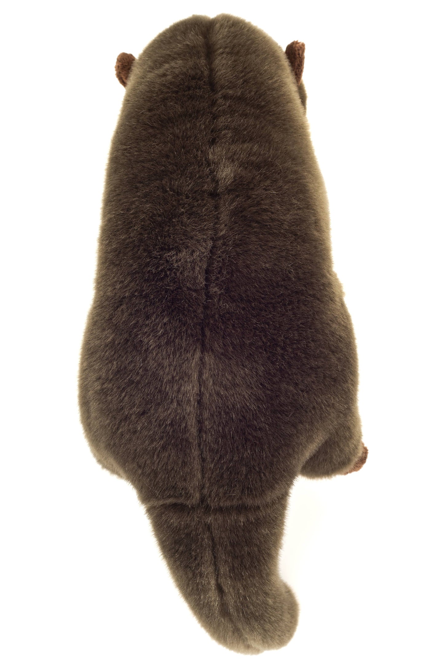 Plush Otter