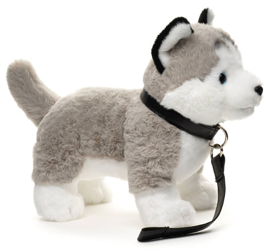 Peluche Husky gris, debout (avec laisse)