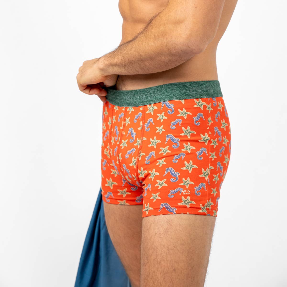 Organic Cotton Boxer Shorts - Seahorse