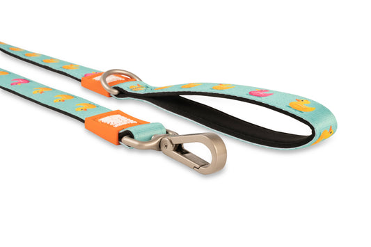 Short Leash – Ducks