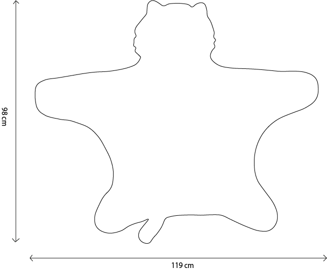 Tiger costume for children