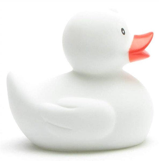 canard classique blanc