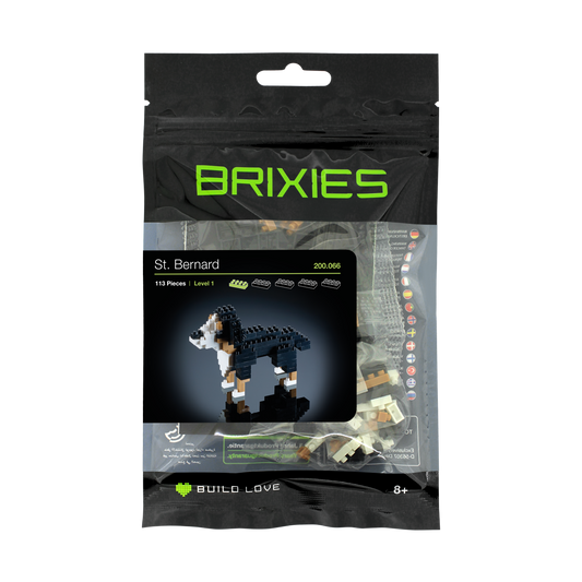 Brixies Saint Bernard