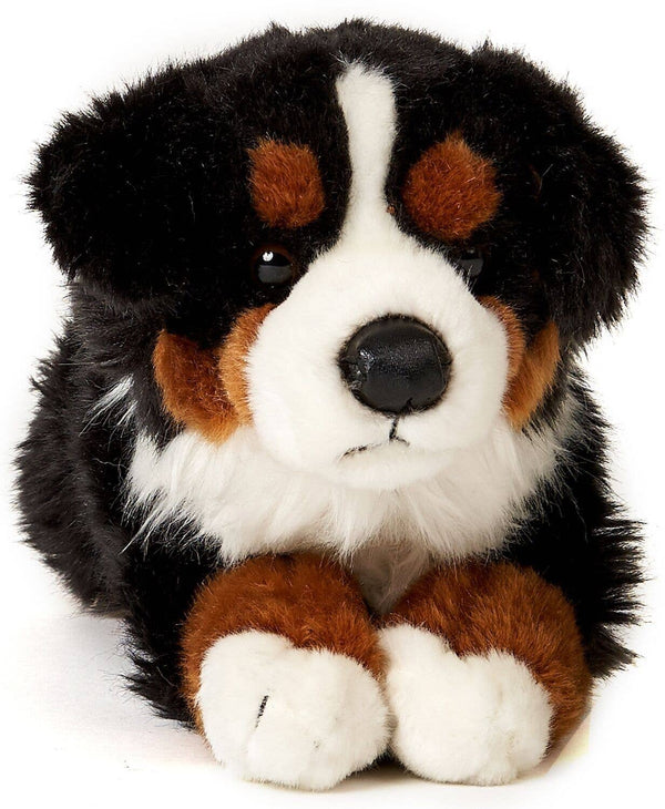 Peluche bouvier bernois couché Uni Toys