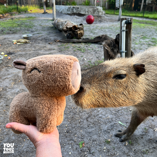 Capybara Plush (9in)