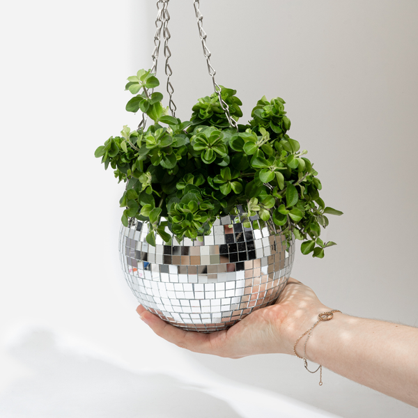 Disco Ball Planter 15cm