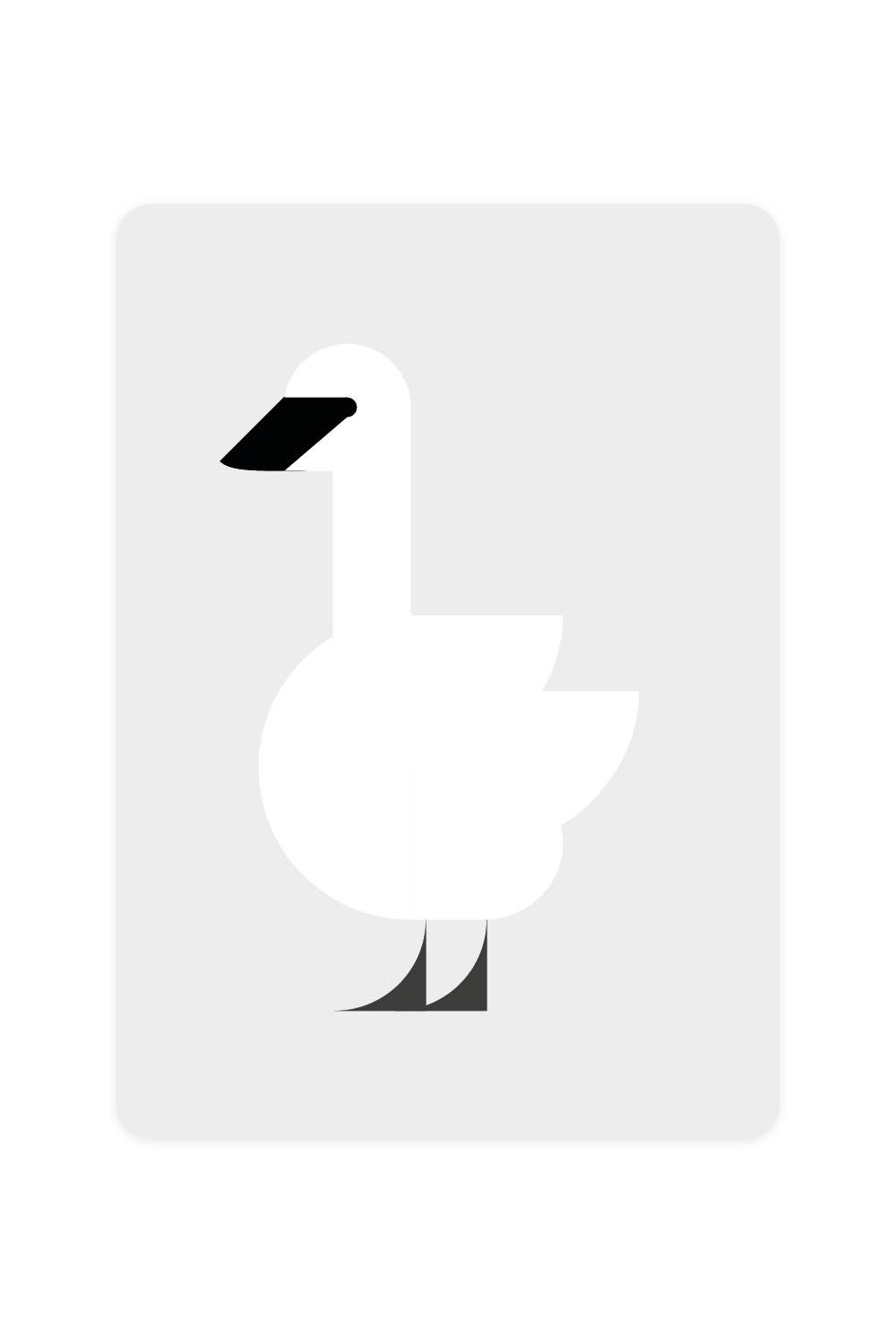 Trumpeter Swan Postcard