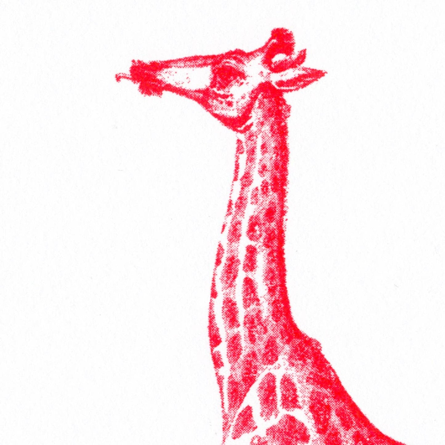 Red Giraffe Postcard
