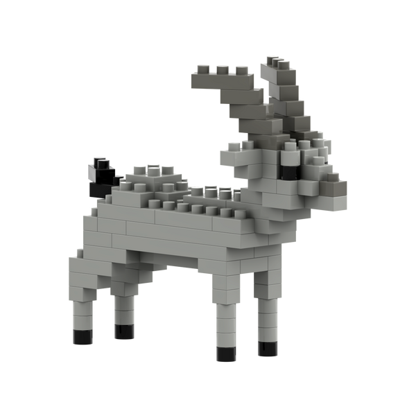 BRIXIES Capricorn