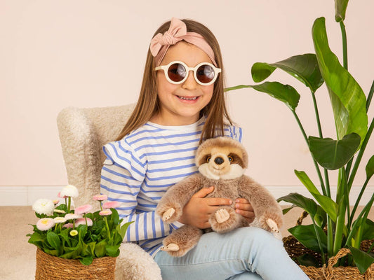 Sloth Plush Toy