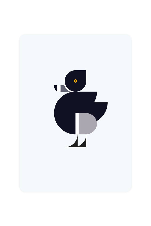 Postcard with ring-billed duck